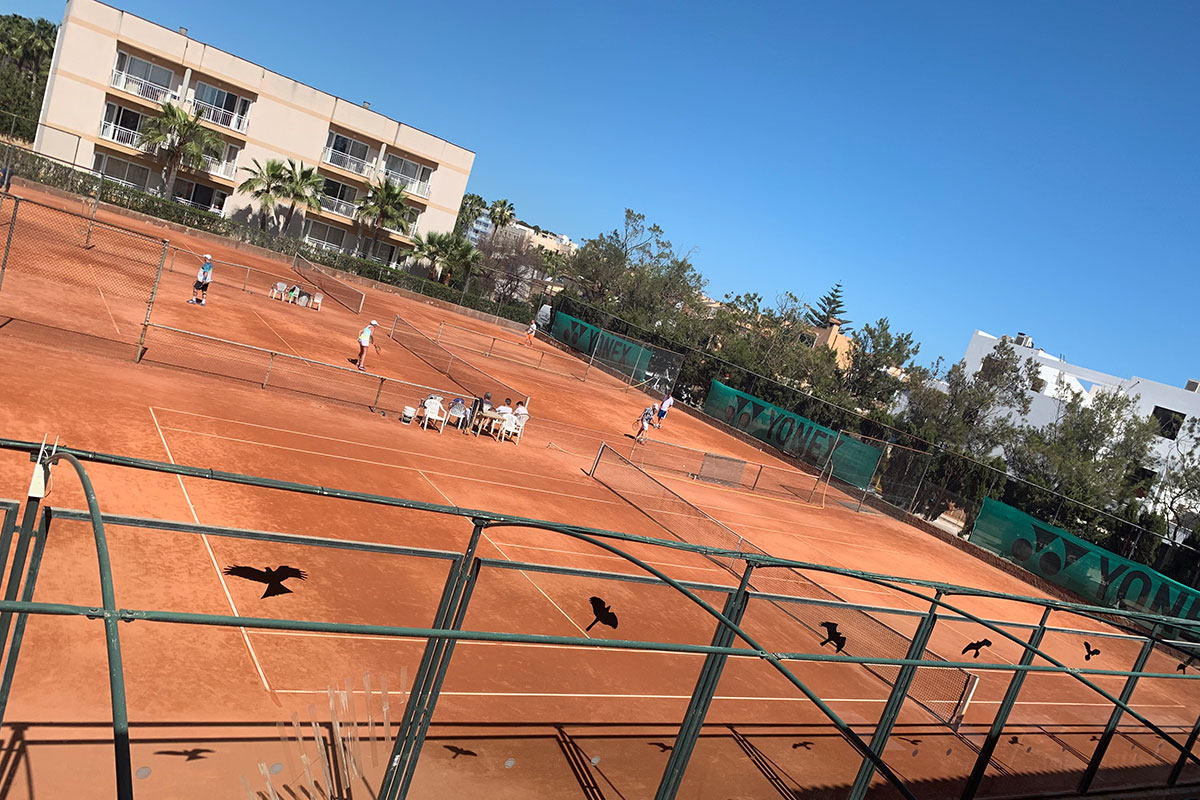 tennis camp mallorca mara 1200x800